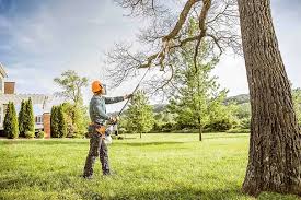 Best Commercial Tree Removal  in Locust Valley, NY